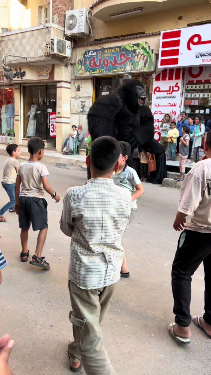 @بودا بتاع غوريلا🦍🔥