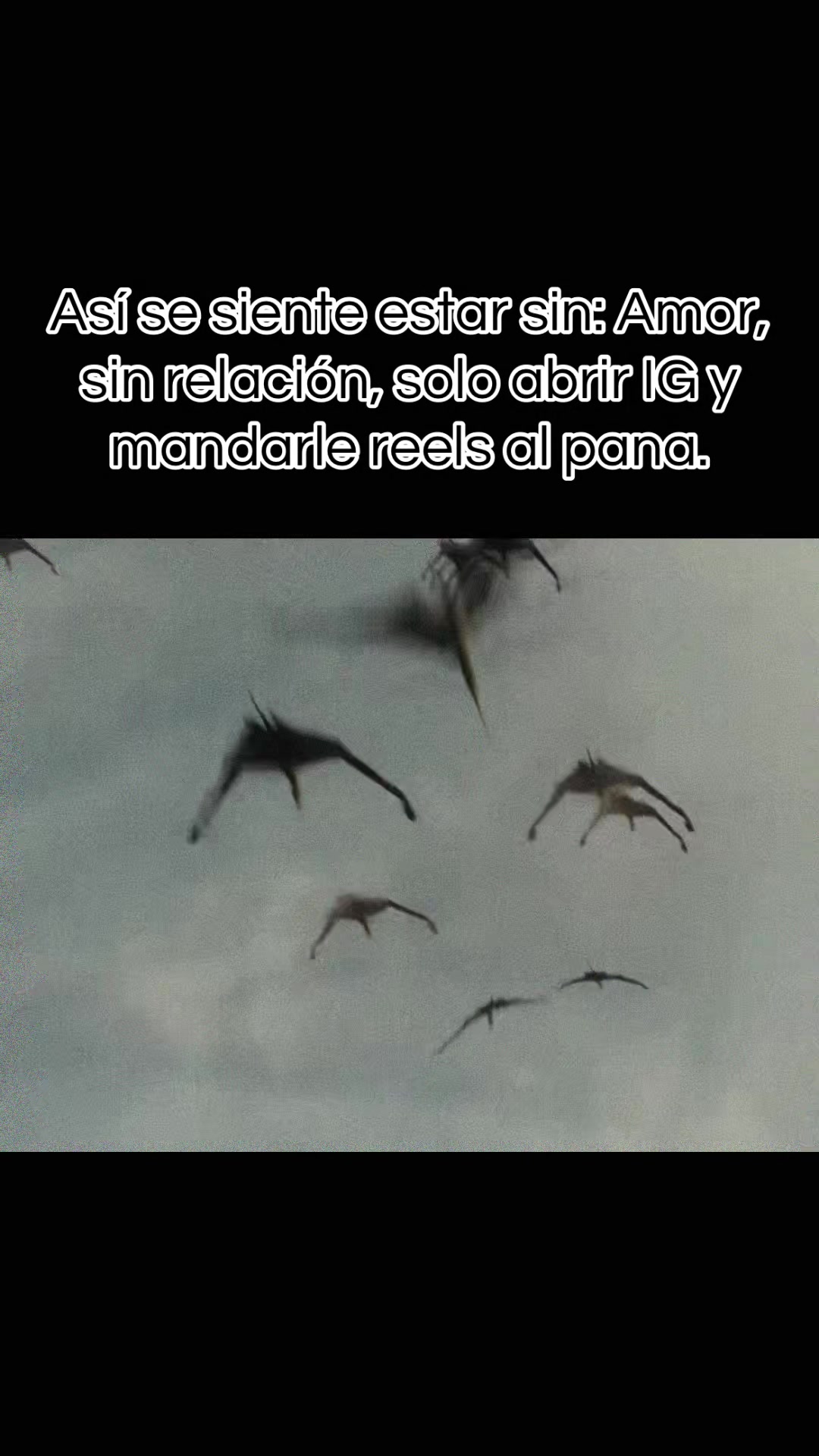 @Jonhan DZ 🦖