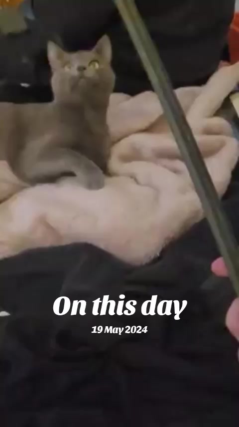 @shellyteddybear1