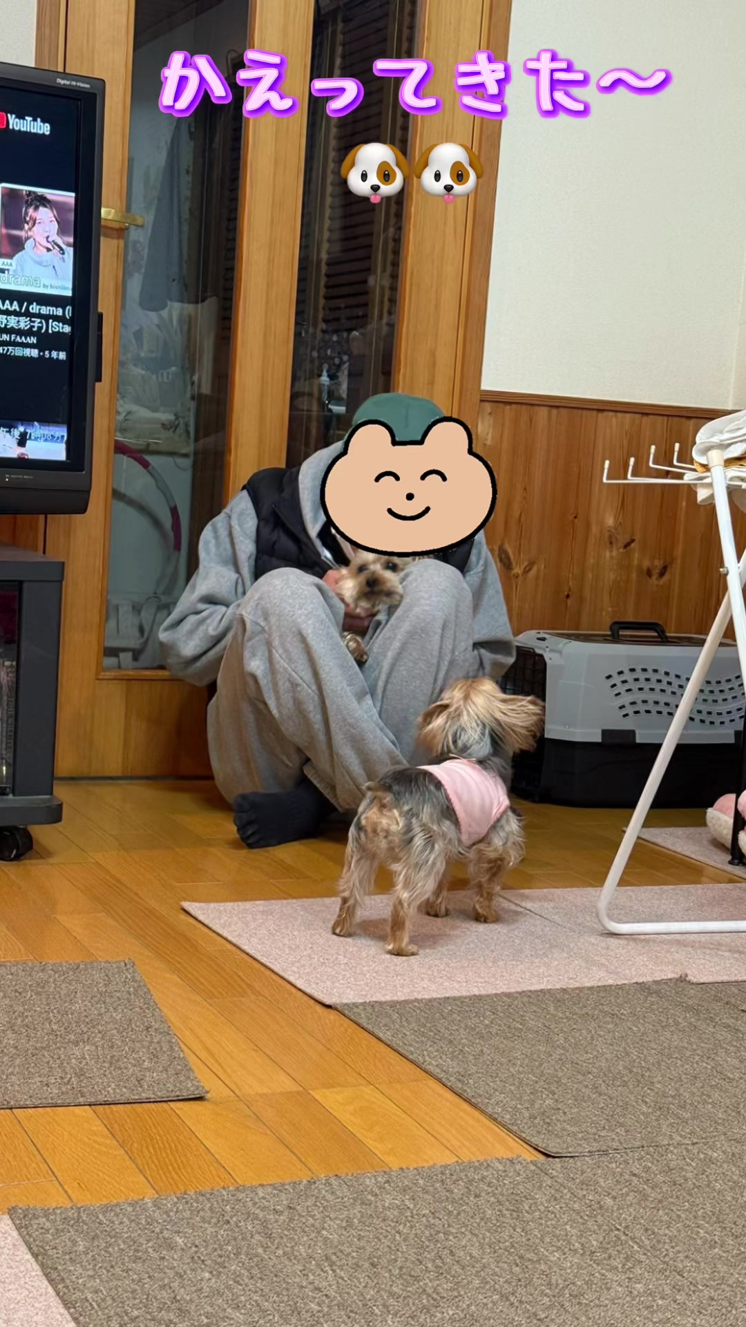 @🎀 ヨーキー のJulie and tia 🎀