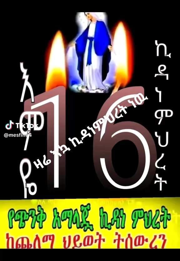 @step by step ዋልያ