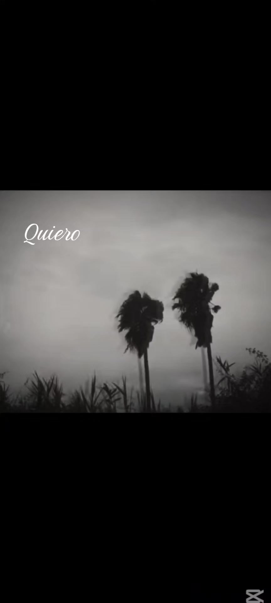 @LadrilloZZZ