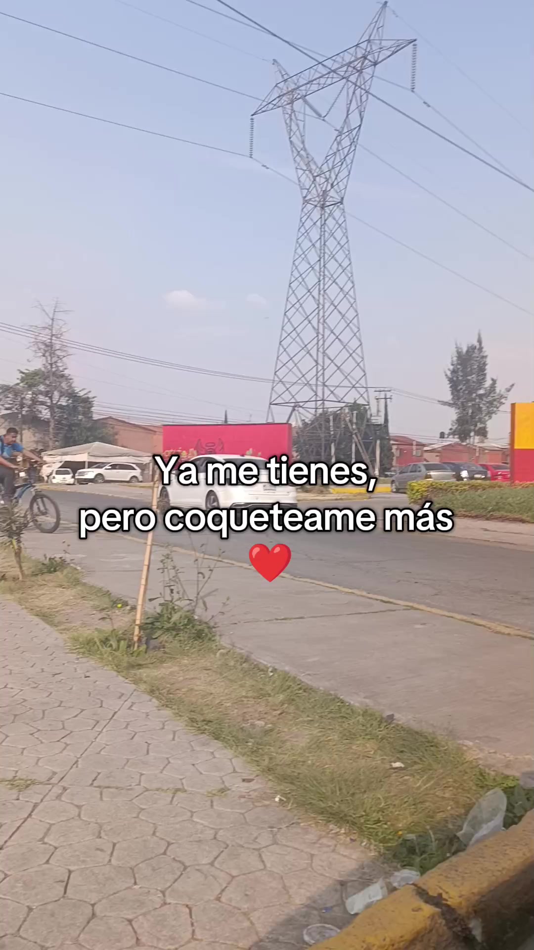 @Leslie DommWall