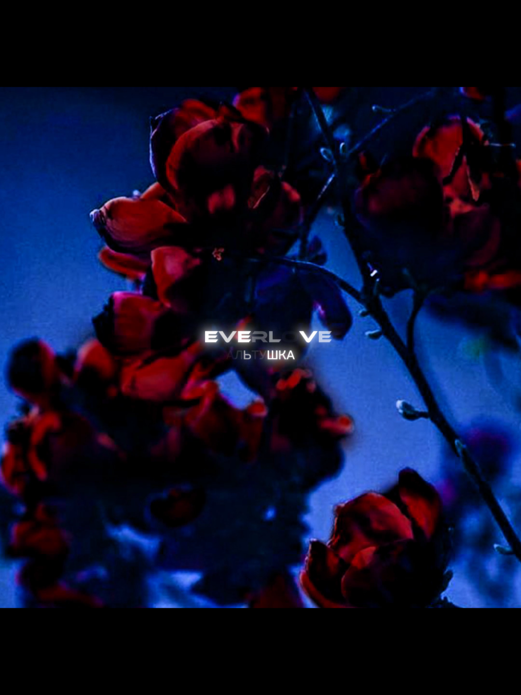 @🖤