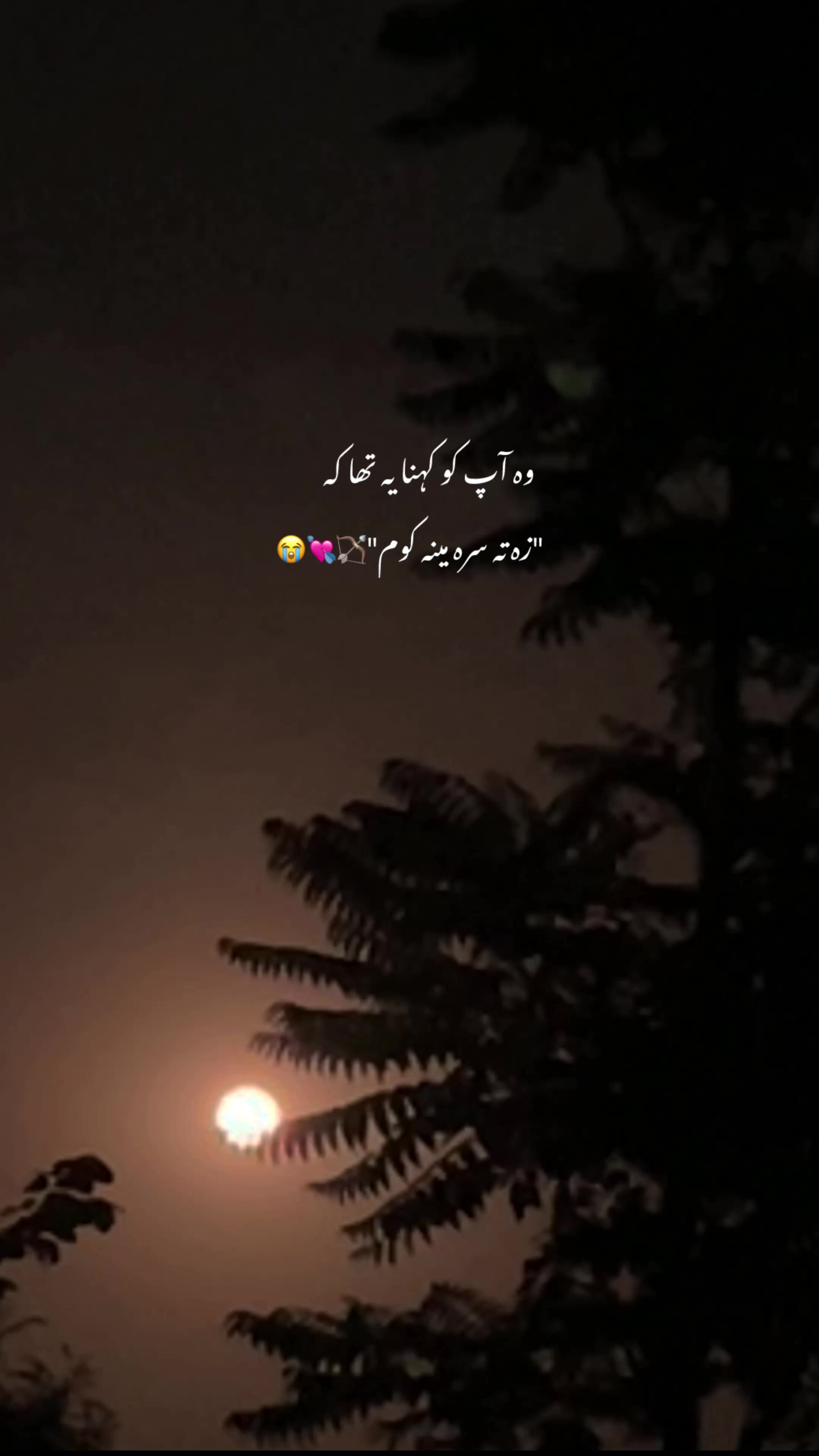 @M🫀جانان