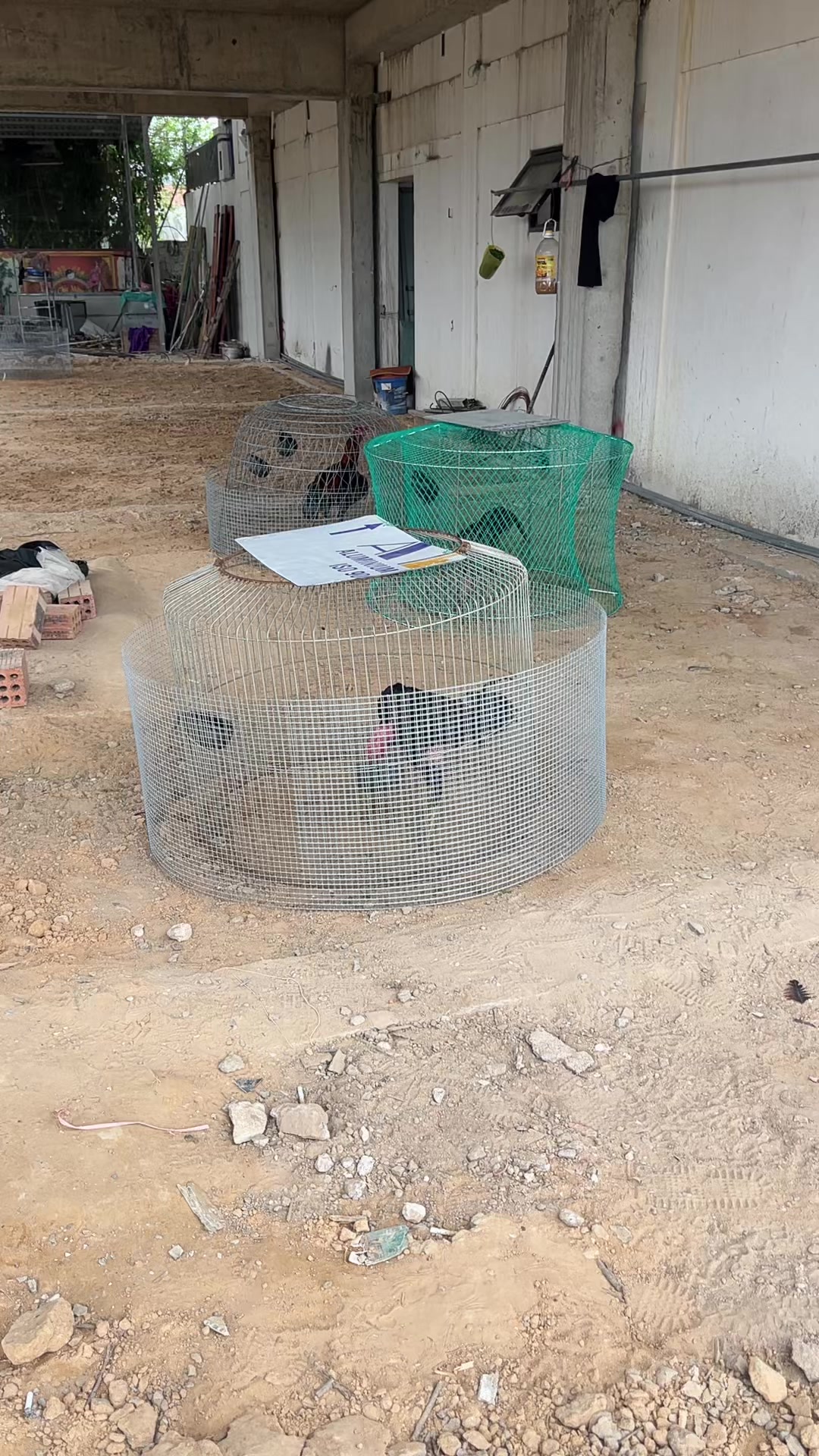 @Hỉm Tạp Ho&aacute;
