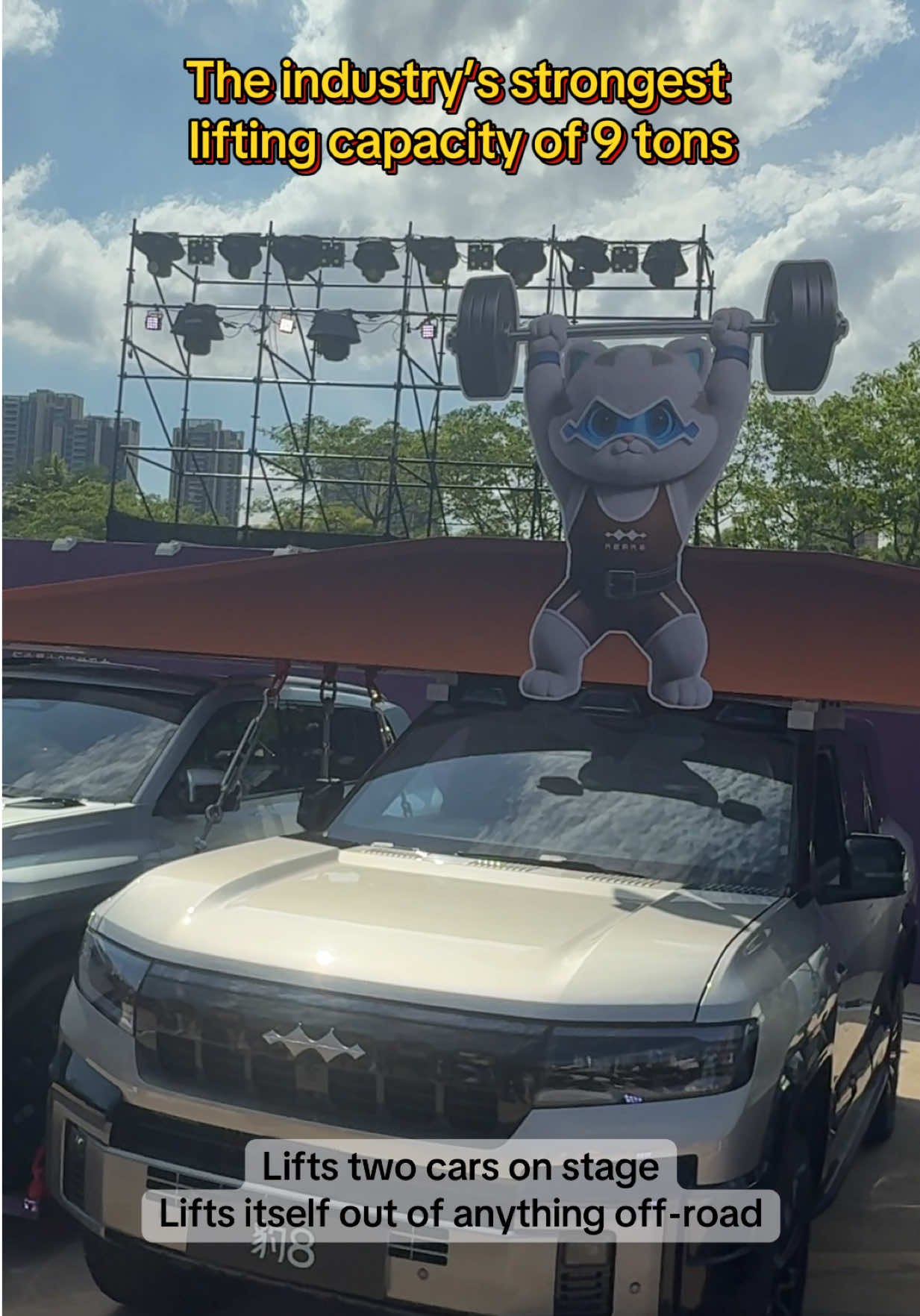 @China EV Reality