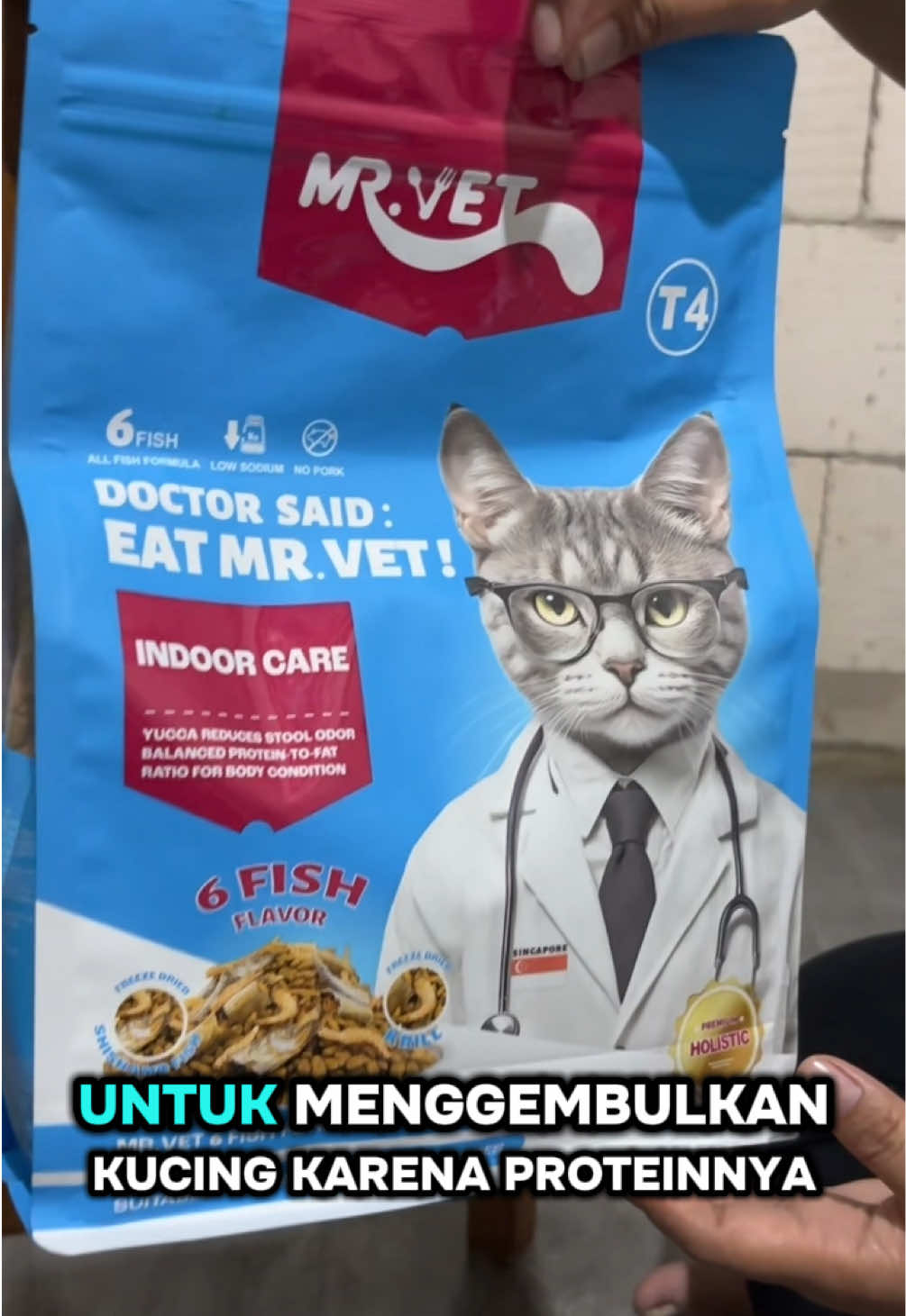 @BUMI ANABUL😺