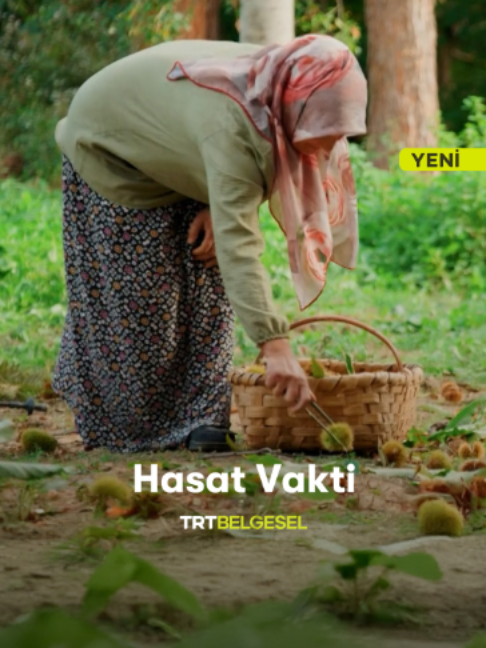 @TRT Belgesel