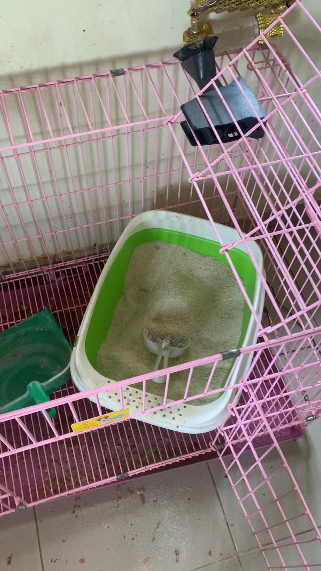 @Dera&rsquo;s cats🐈🐈🐈&zwj;⬛