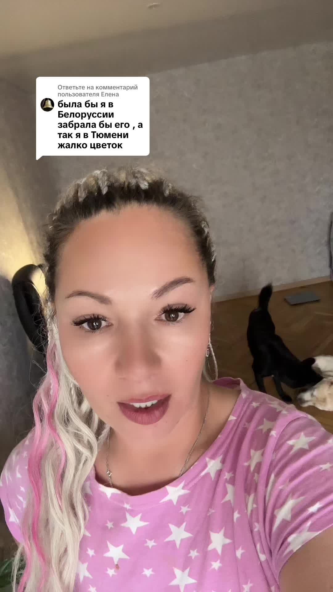 @LenaZlata