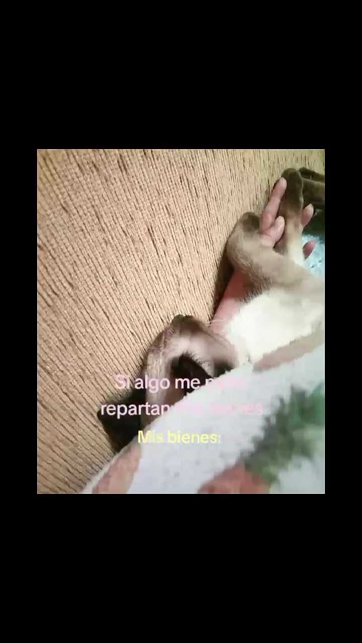@❤️ 777❤️