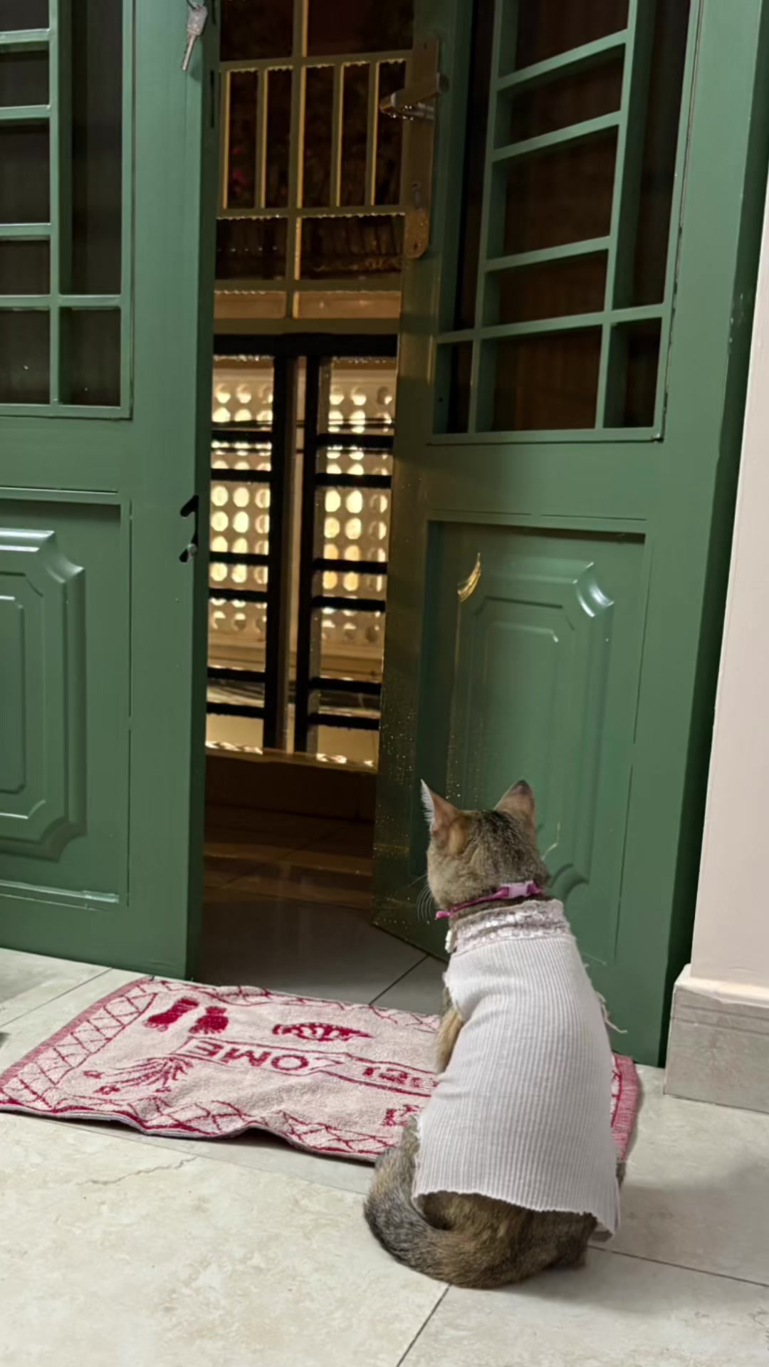 @Khanh Quach