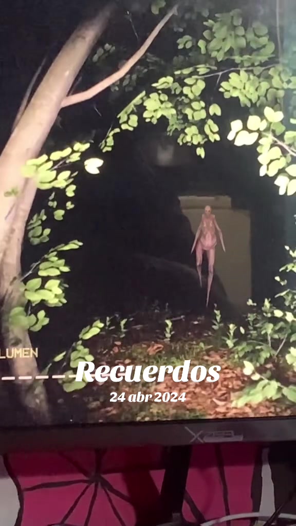@🍁Reiayanamii🌧️