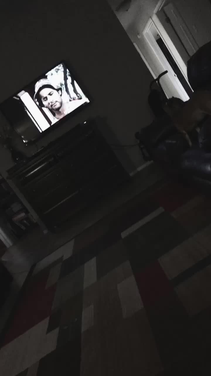 @faye.vaughn
