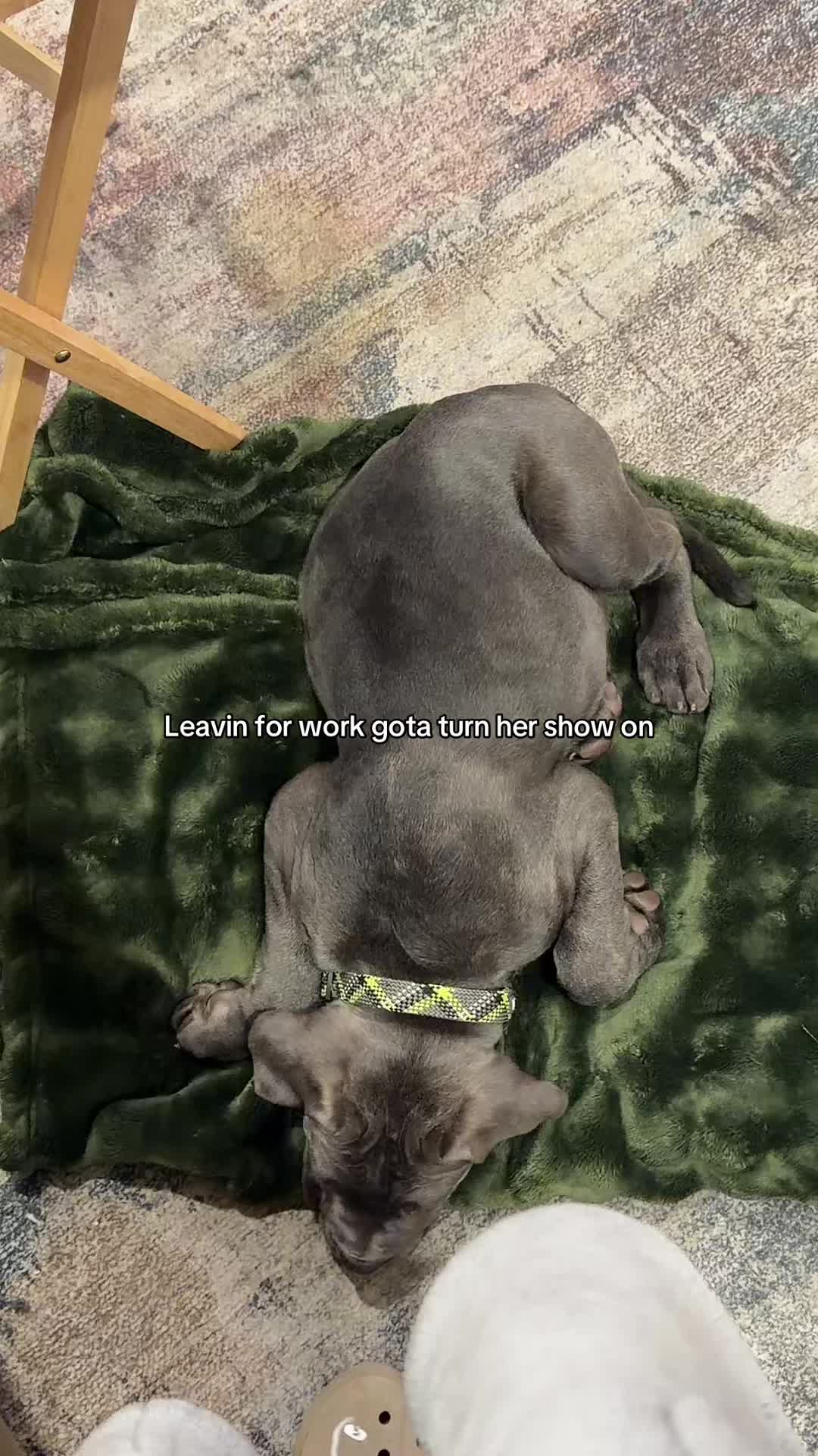 @NUNU👑
