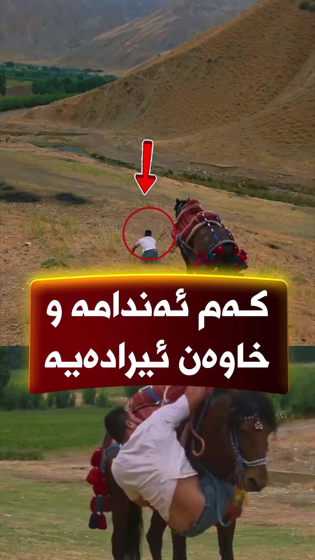 @🎤📺 𓆩جیگر هەركی𓆪 Journalist