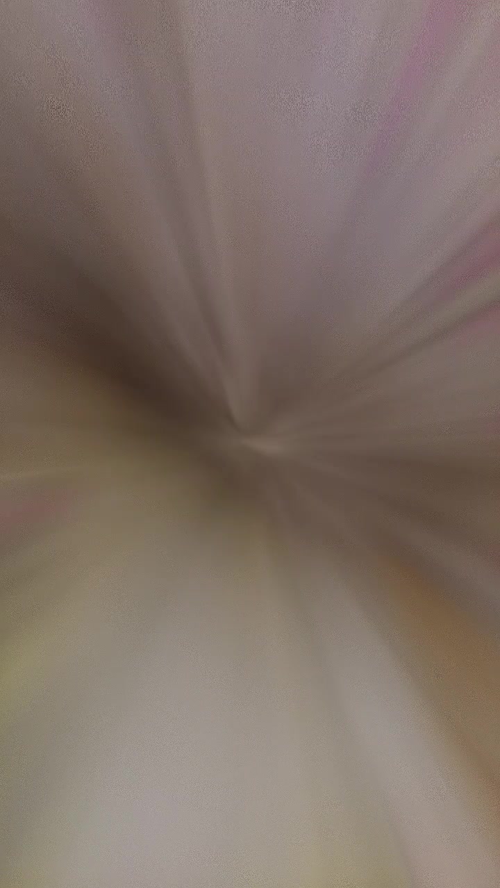 @☆꧁✬◦&deg;˚&deg;◦. 𝓐𝓶𝓶𝓾.◦&deg;˚&deg;◦✬꧂☆