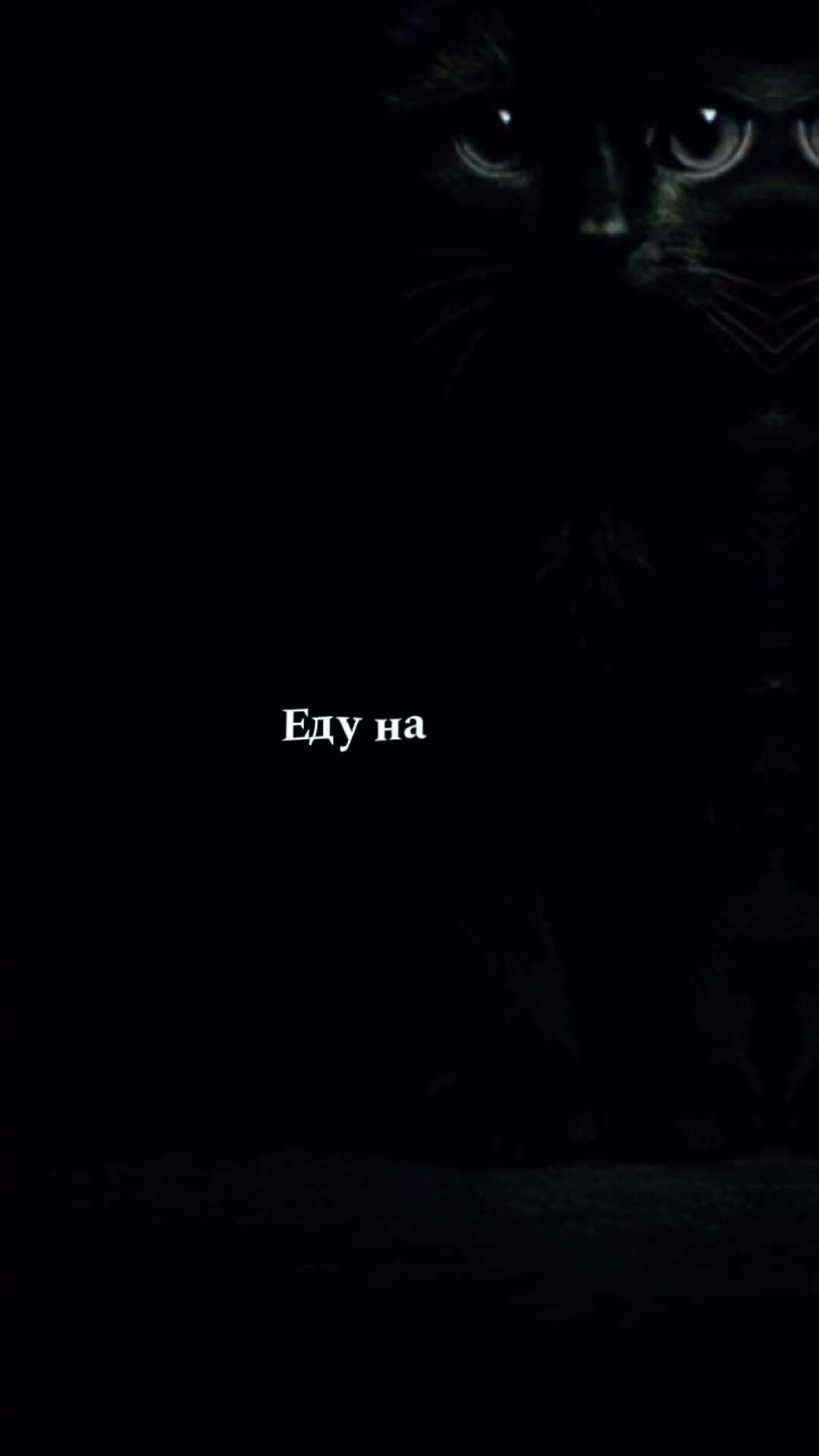 @TOP NOSTA ШАБЛОНЫ