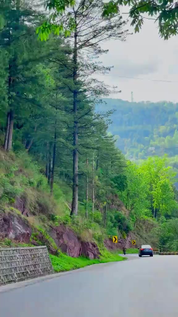 @جنجوعہ جٹ