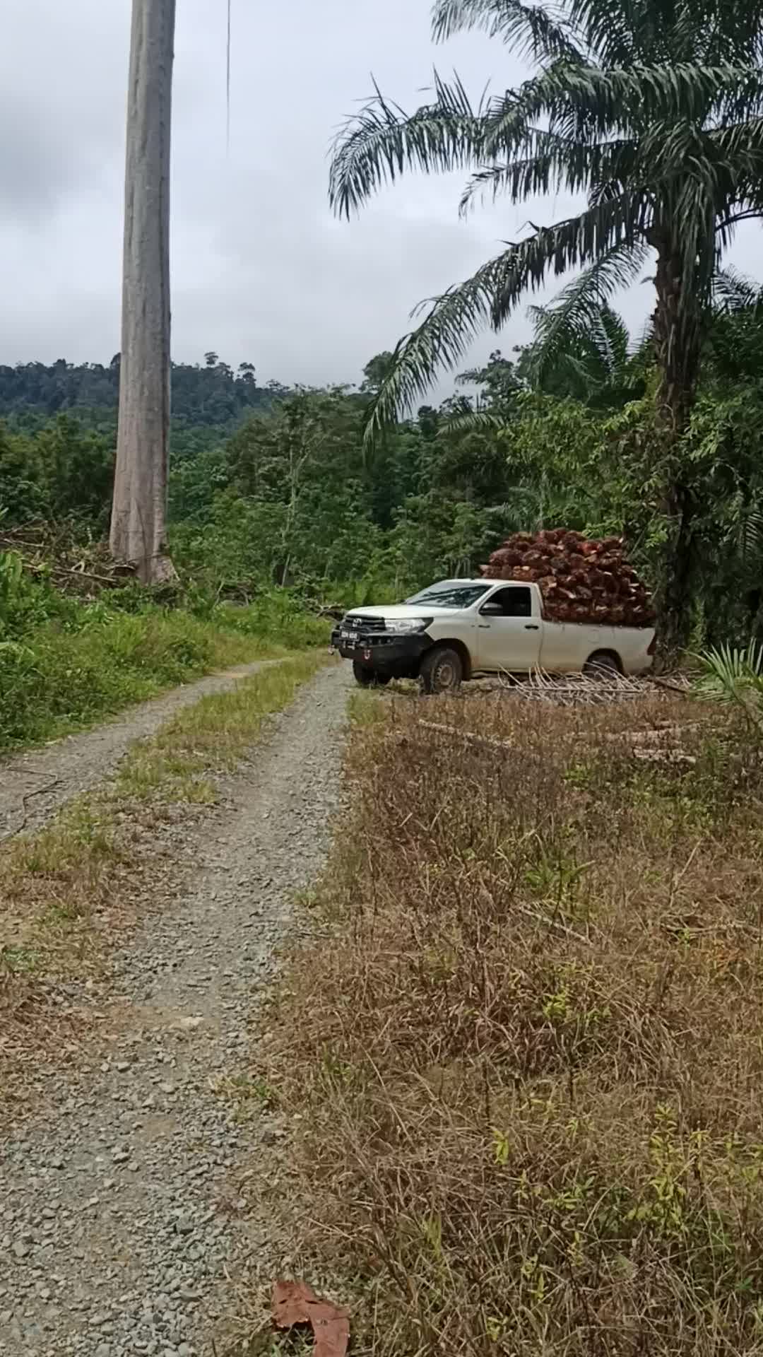 @RoHaIzAd_Rahim🇲🇾🇲🇾