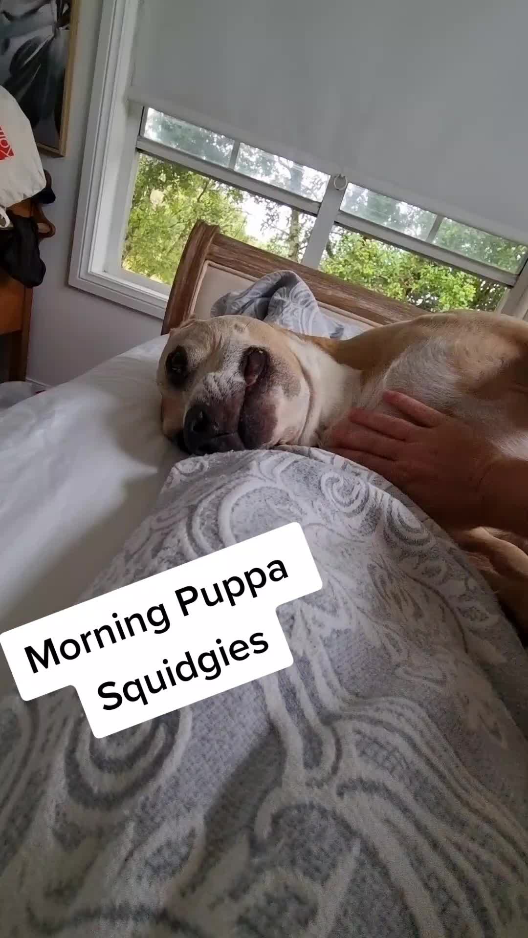 @Puppa Mumma