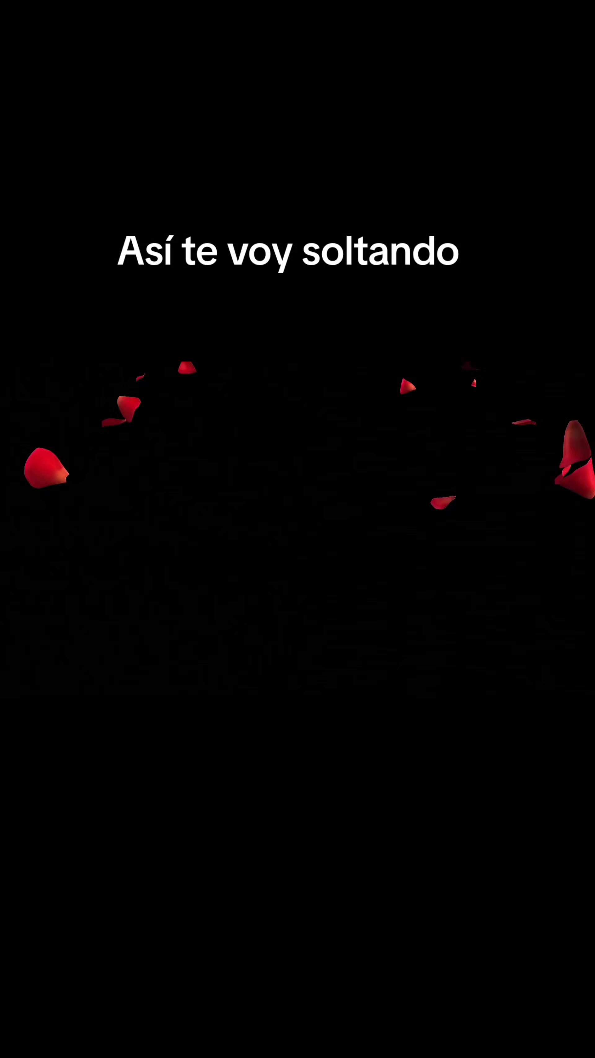 @Chuy Cano