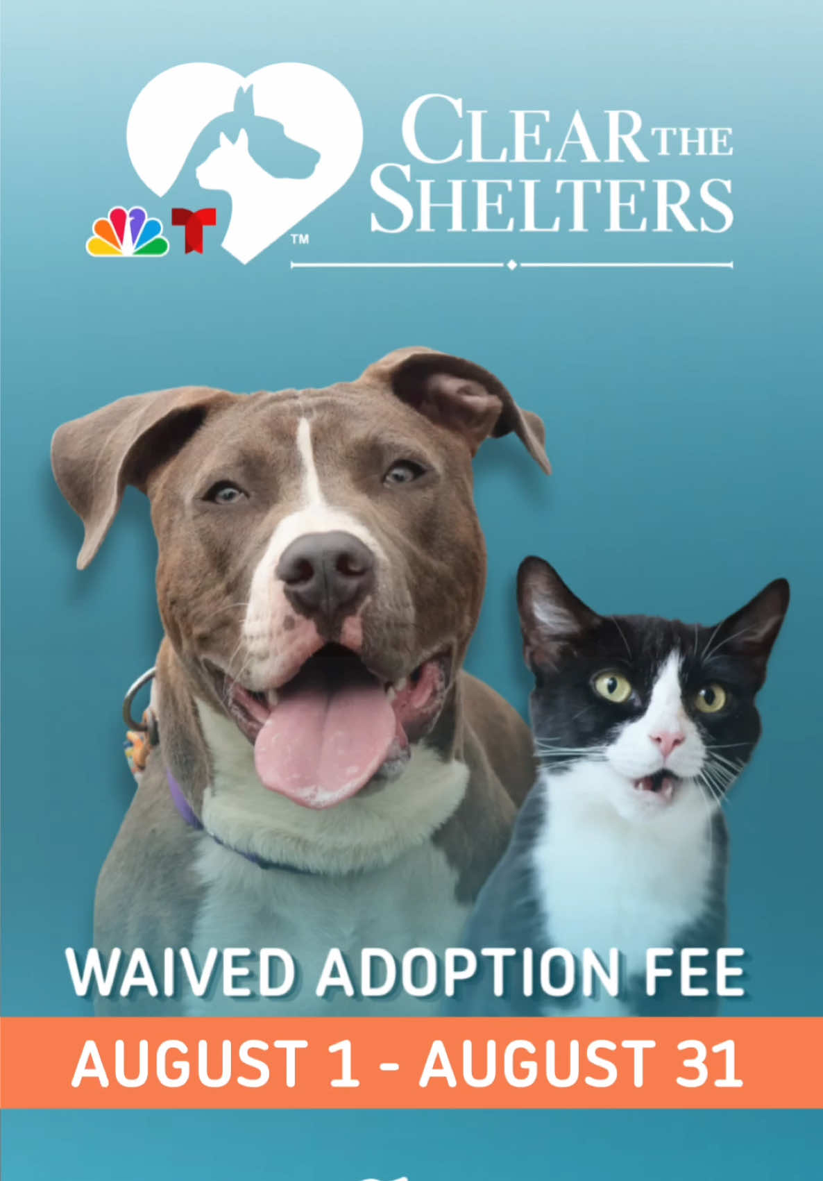 @PAWS