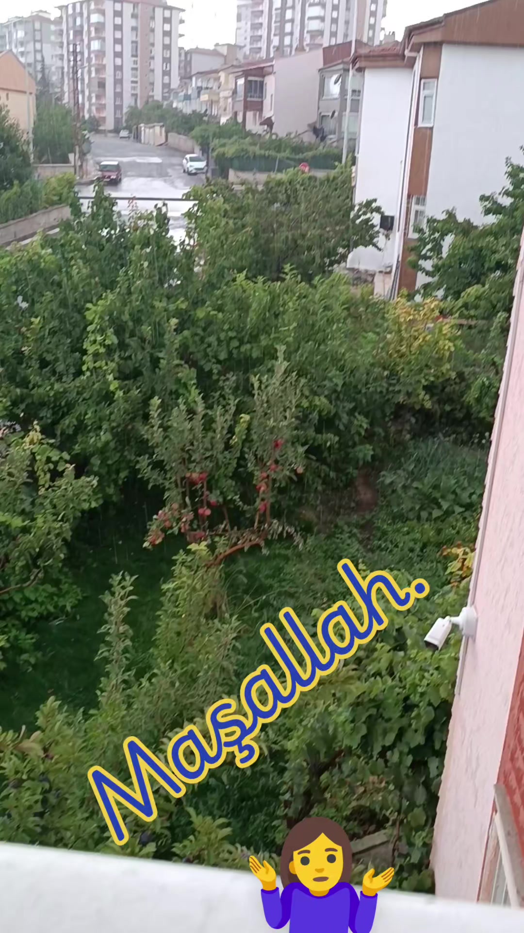 @Lila Yasemin