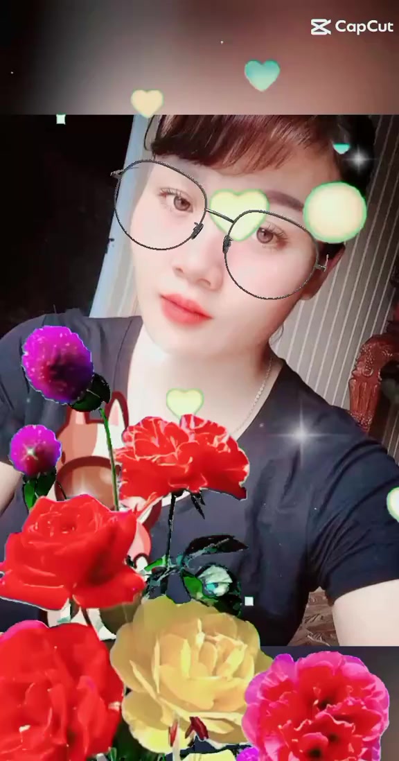 @như ngọc 588