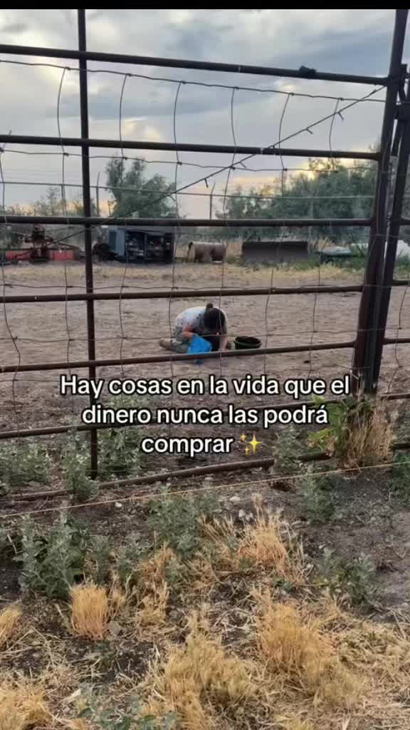 @Frases Chingonas 💫