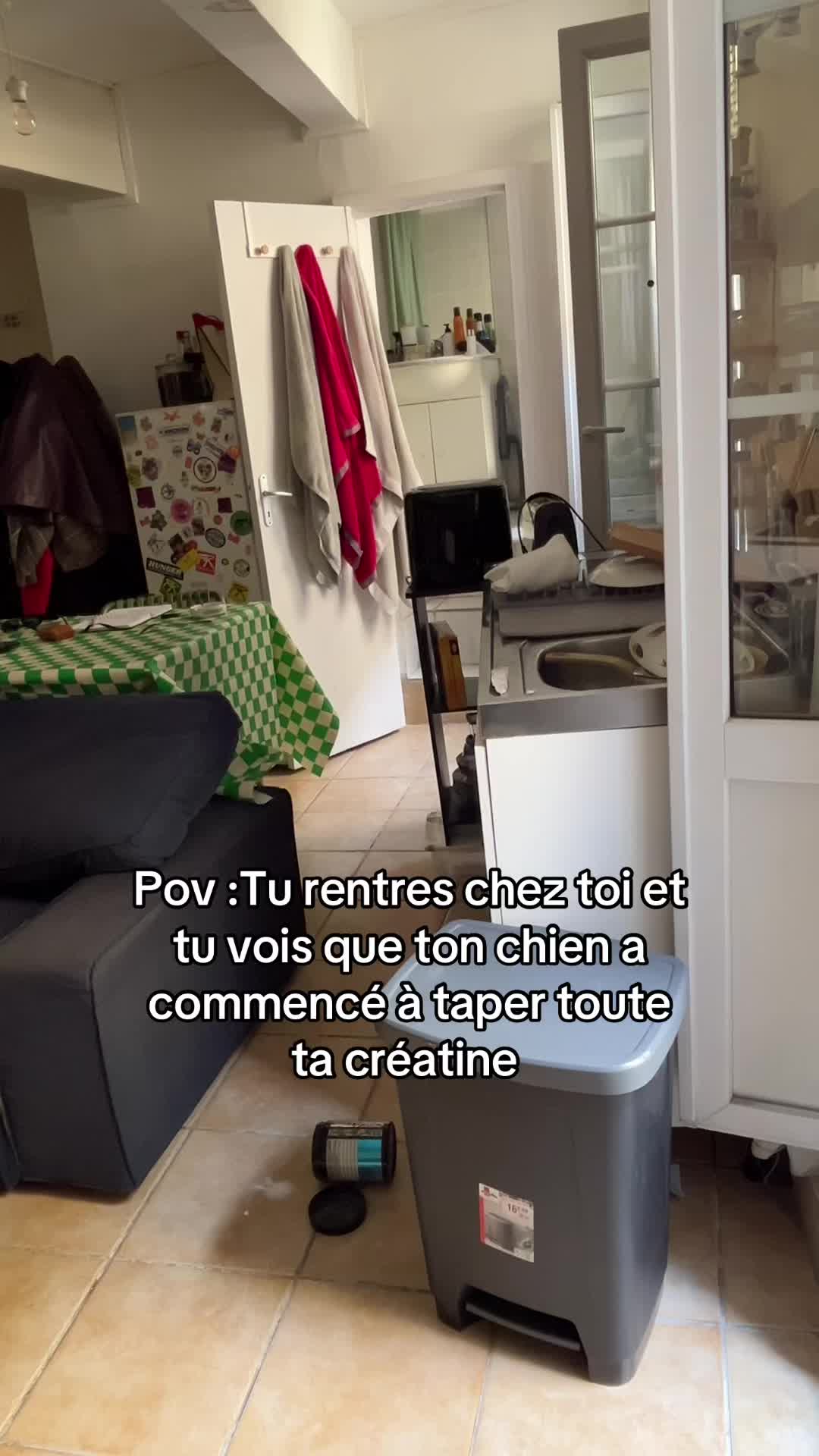 @Bobidouu