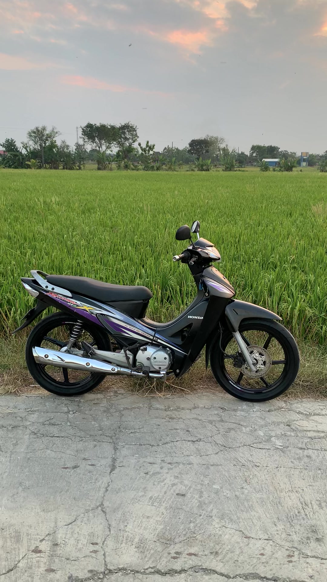 @𝗽𝗮𝗹𝗹
