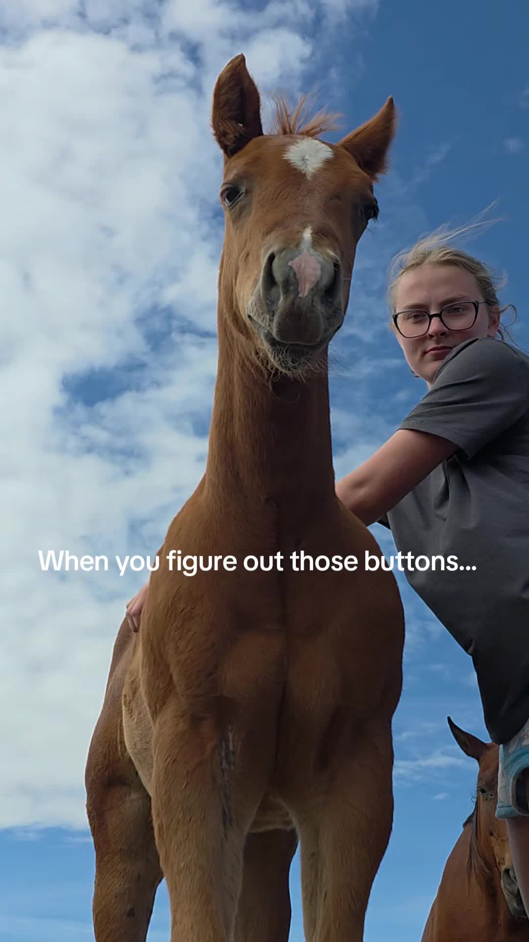 @ShitShowOnTheRoad