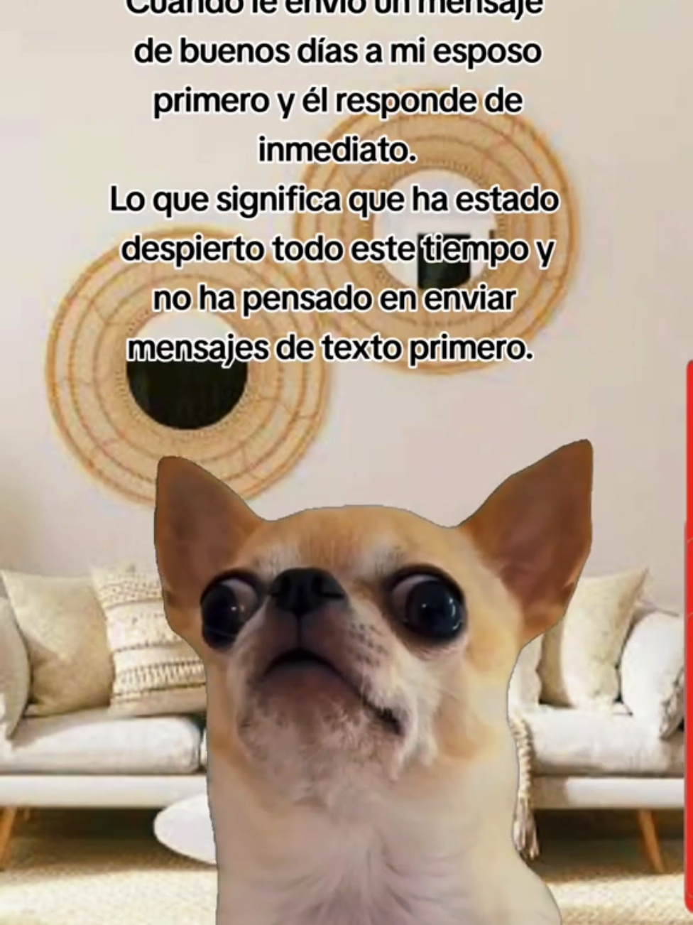 @Erikaruizeza