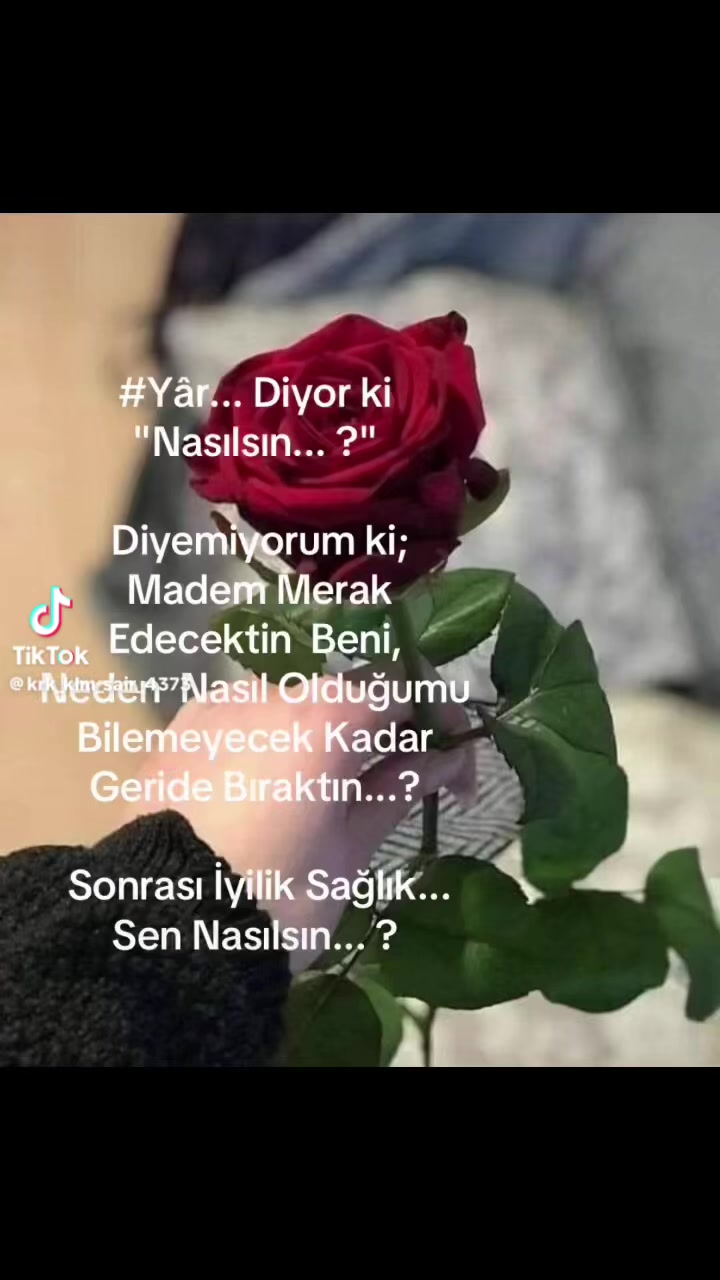@krk_klm_sair_4343