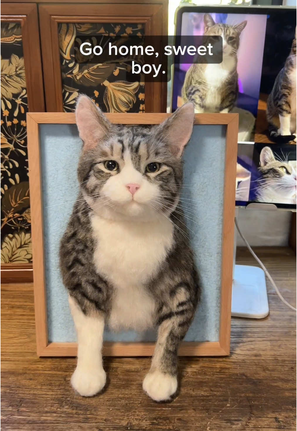 @Mywooleverfriend