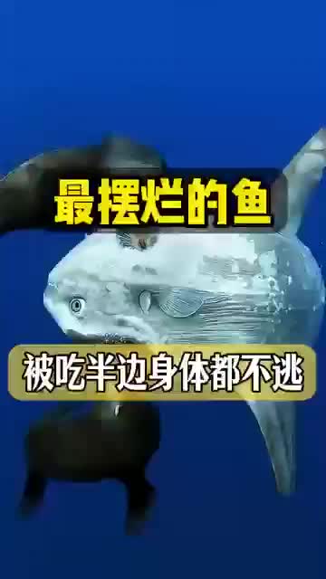 @威廷