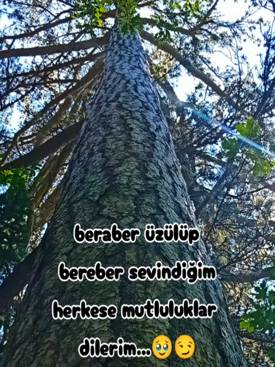 @Vedat Samsa 🆚