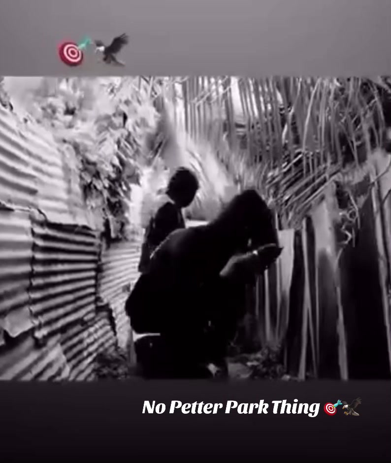 @WantedMoods🛸¡!