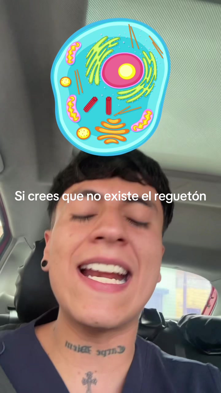 @ENDOBOY