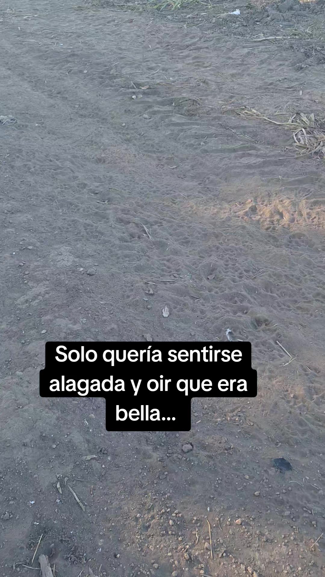 @Pimentel 💜