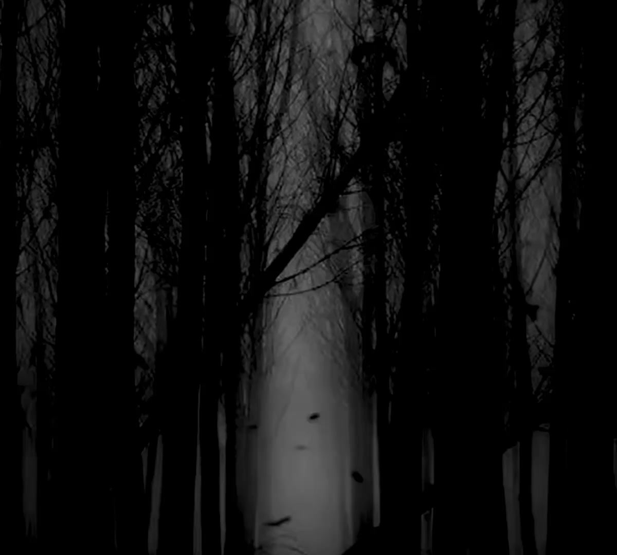 @Klymenko Taras