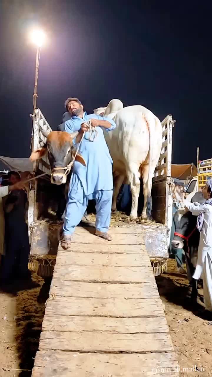 @Rashid Ali