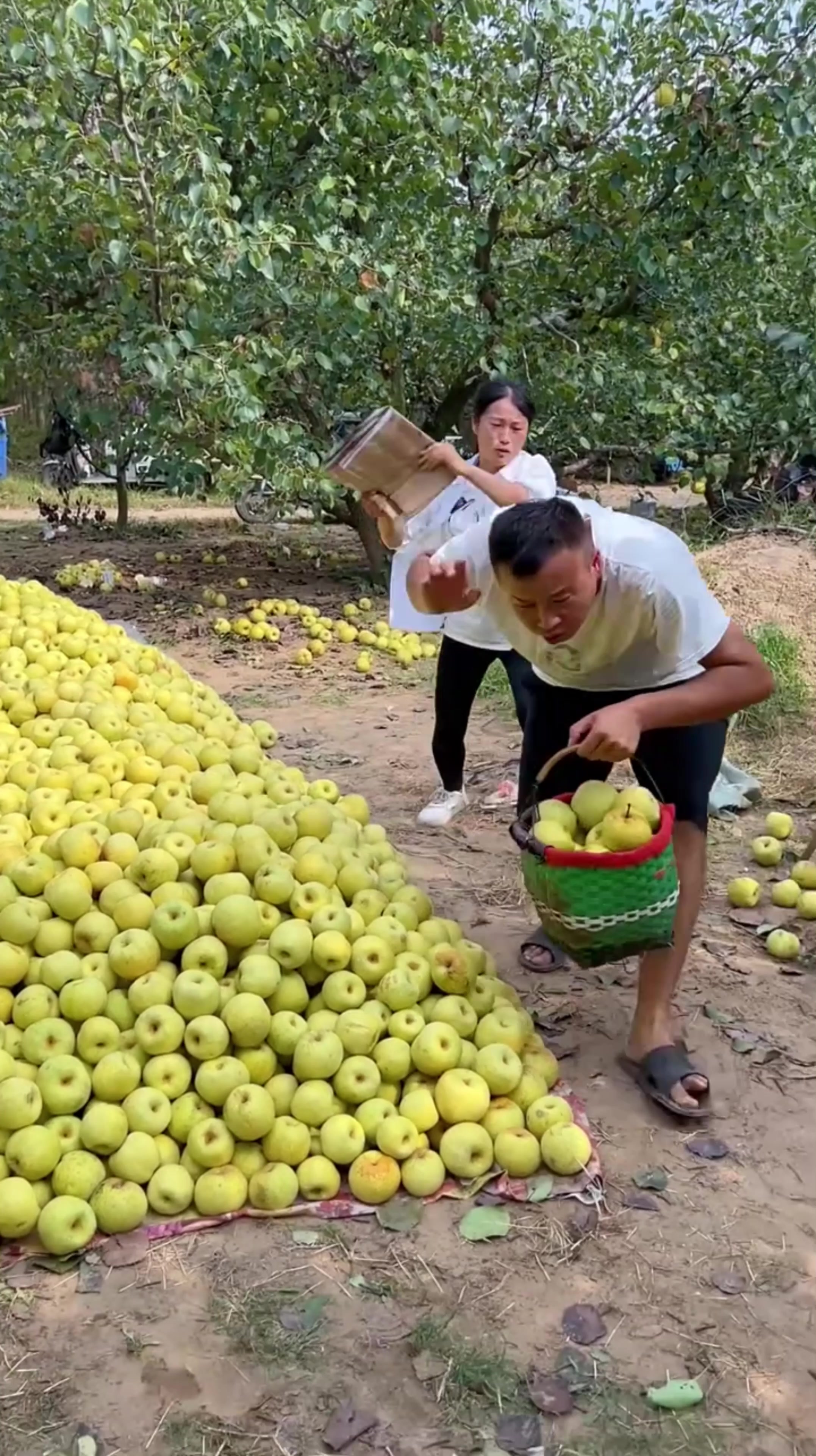 @Fruit happy