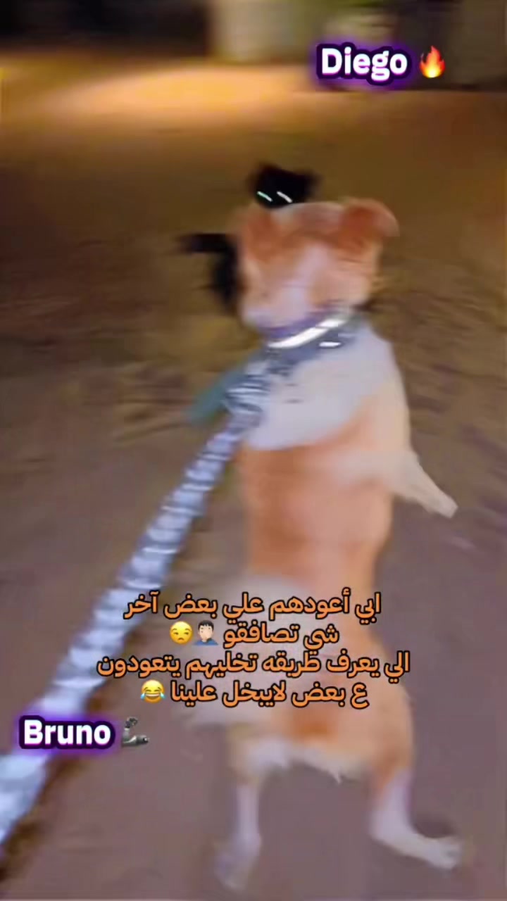 @K7🇰🇼