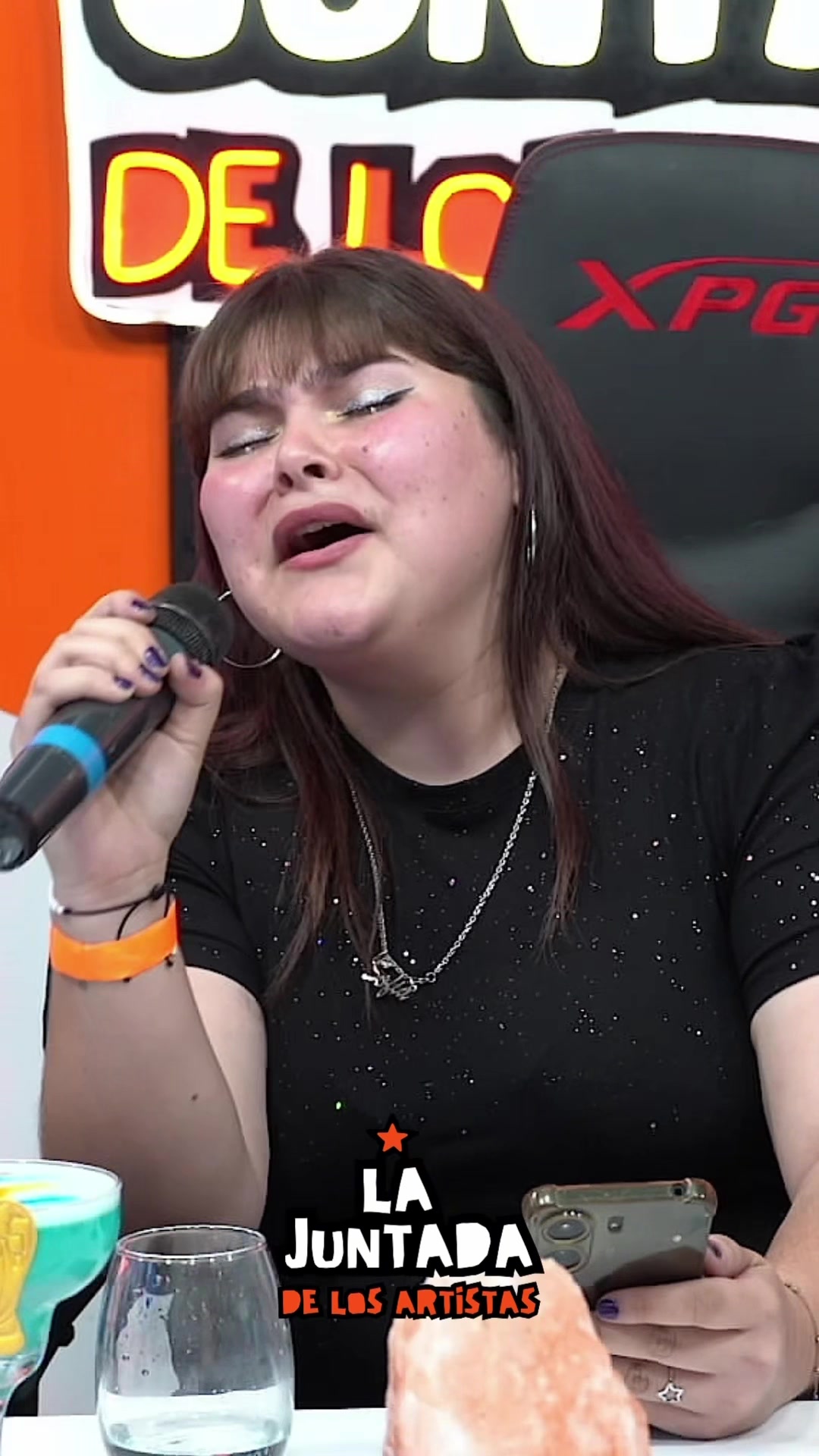 @La Juntada de los Artistas