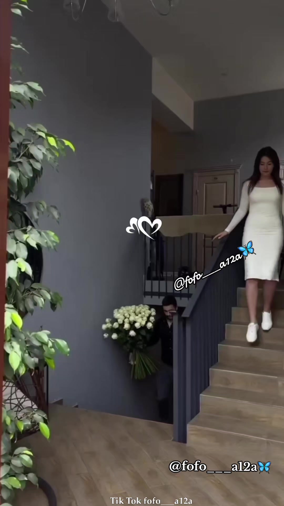 @✨🦋فراشـᬼ❥᭄❥ᬼـة🦋✨