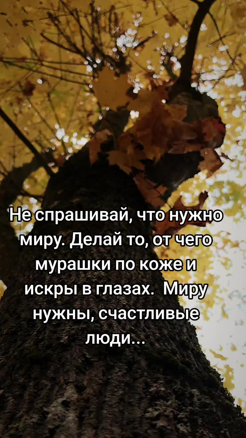 @Lesya Bronzova