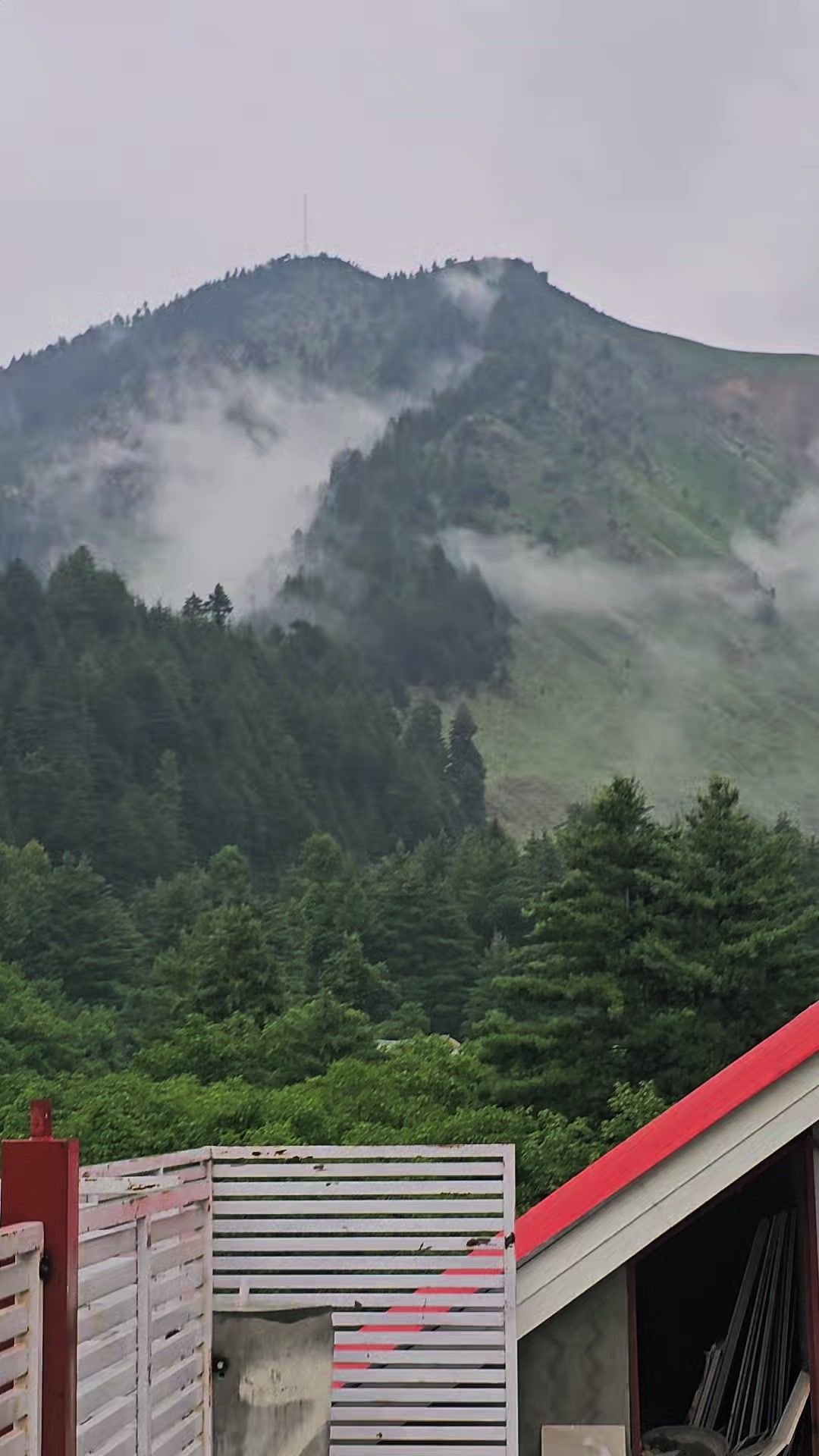 @ₒᵣdᵢₙₐᵣy⛰️ₜᵣₐᵥₑₗₗₑᵣ
